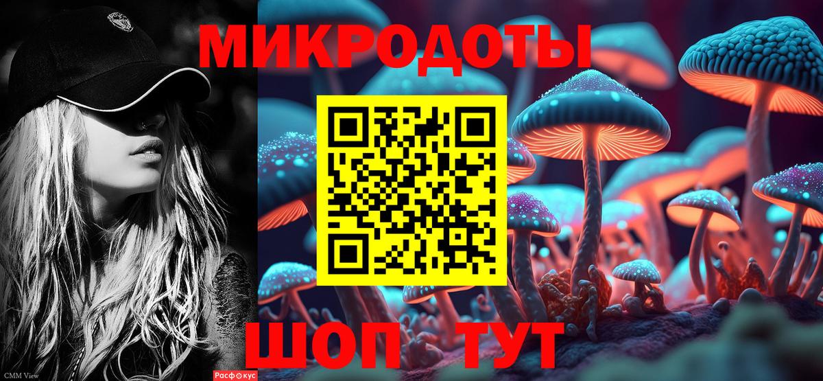 Тихорецк  купить наркотик  Псилоцибиновые грибы ЛСД  Вход с VPN  Псилоцибиновые грибы MAGIC MUSHROOMS 