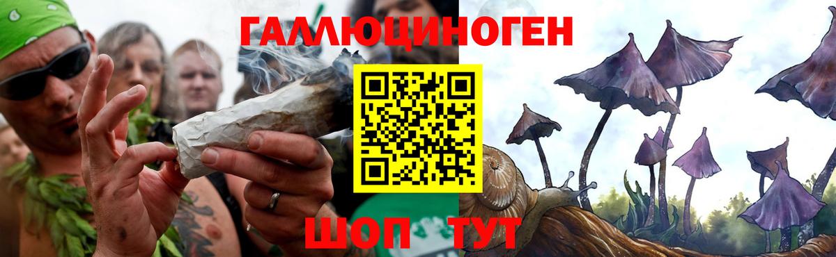 ГАШ  Экстази  Кокаин  ГАШ  Тихорецк  A-PVP СОЛЬ кристаллы  НБОМе  Вход с VPN  Каннабис  МЕФ кристаллы 